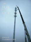 La telecomunicazione galvanizzata della immersione calda di H30m si eleva installazione e manutenzione facili
